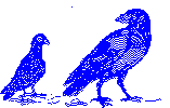 Crow