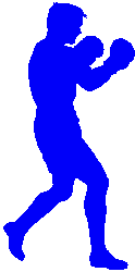 Boxer