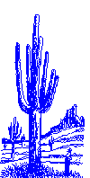 Catus