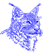 Couger
