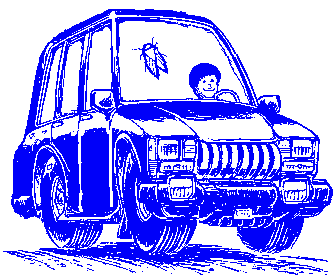 Car+Bug