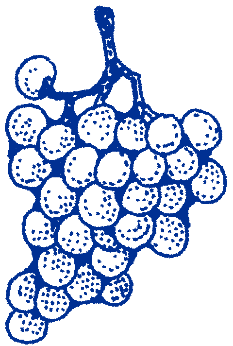 Grapes