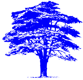 CedarTree